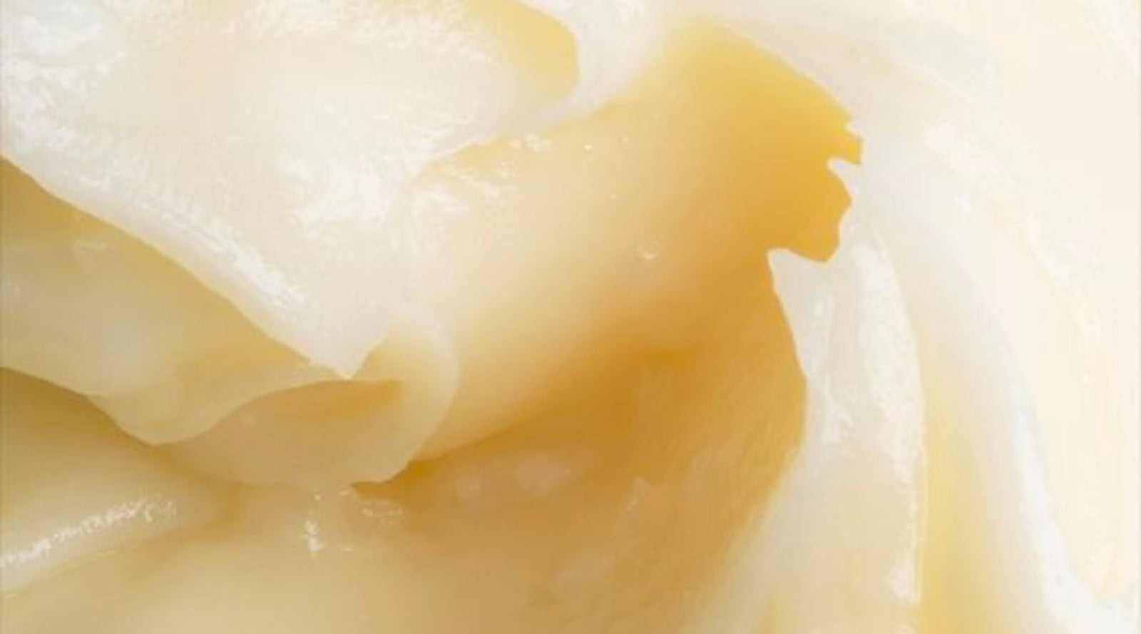 Types of cervical mucus graphic, woman wearing Vee underwear